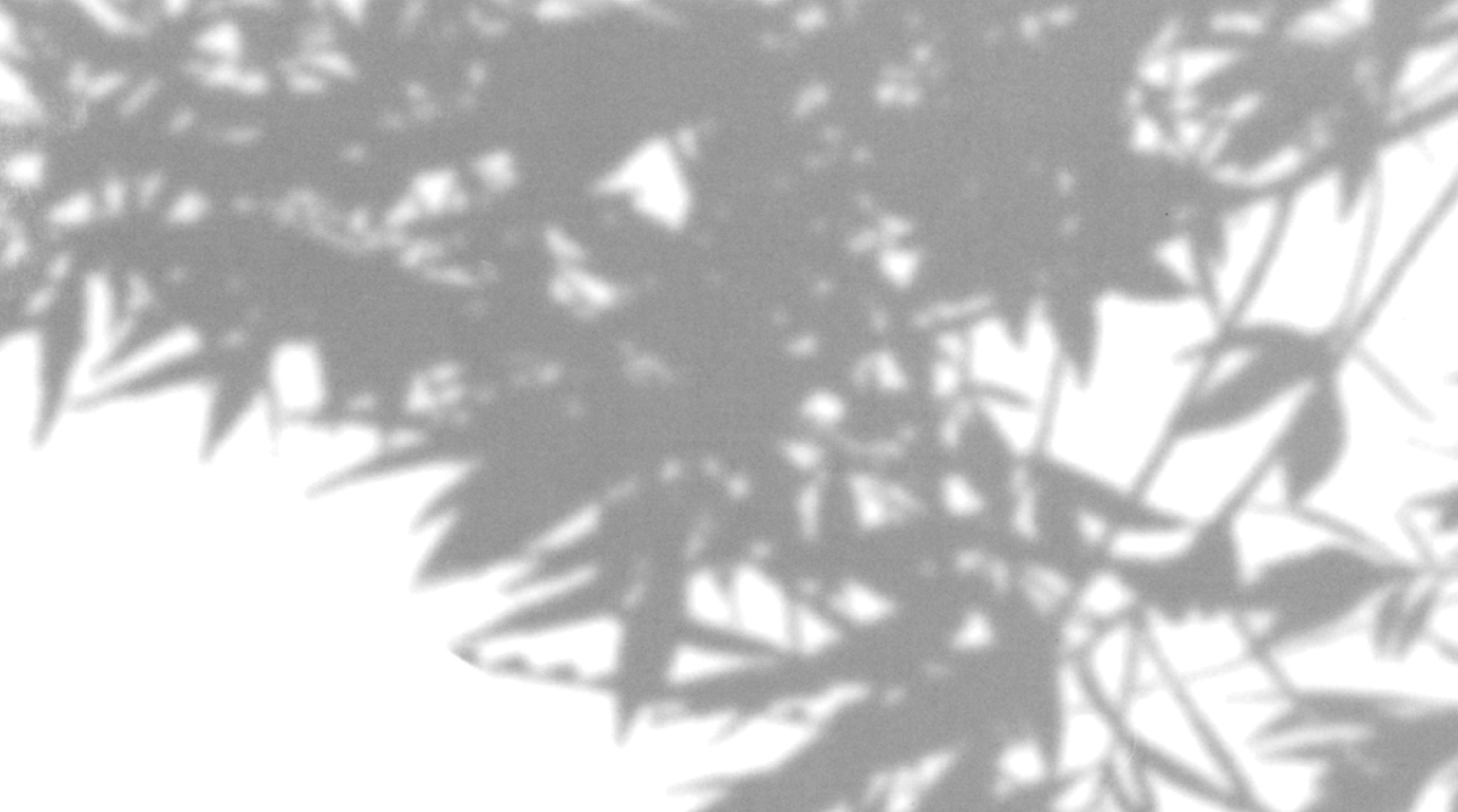 Alserkal Art Week - November