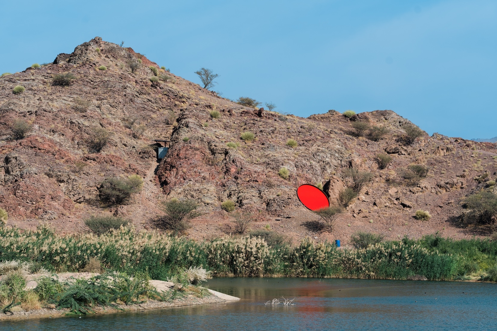 Deliberate Pauses / وقفات متروية