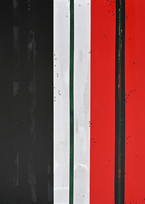 Refined Compositions: Ruba Salameh