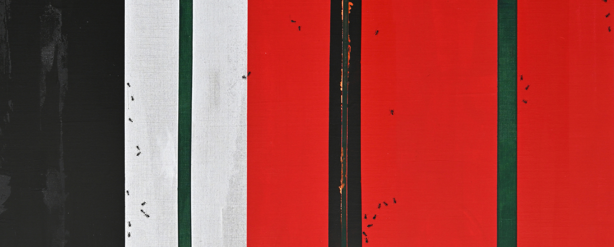 Refined Compositions: Ruba Salameh