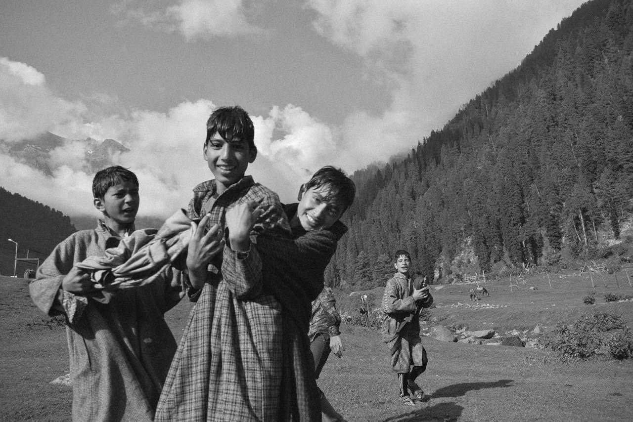 Mohammad Younus Nomani | An Orange Leaf in a green tree, Kashmir