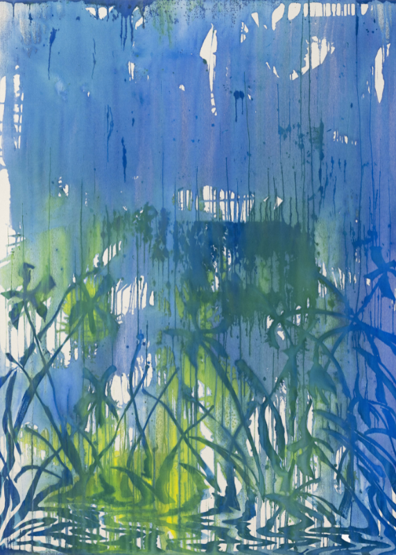 Invisible Fish: Saif Azzuz