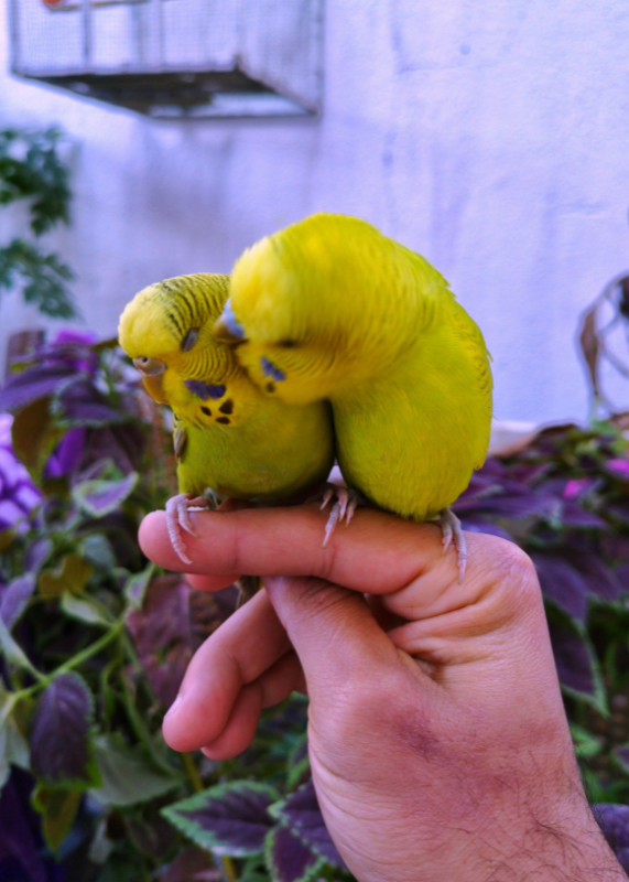 A Memorial in Fragments