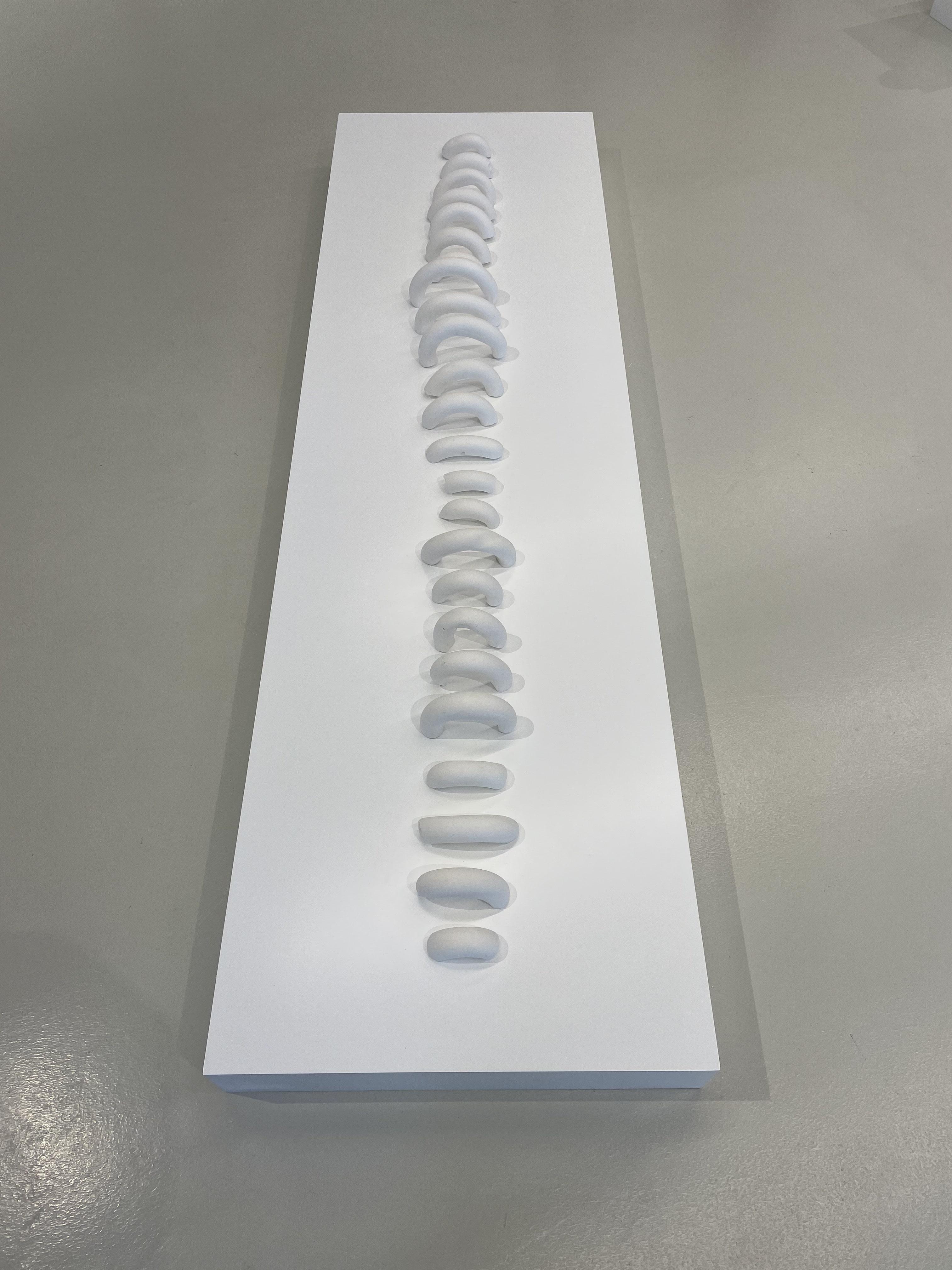 Collection of Bones: A Spine (2021)