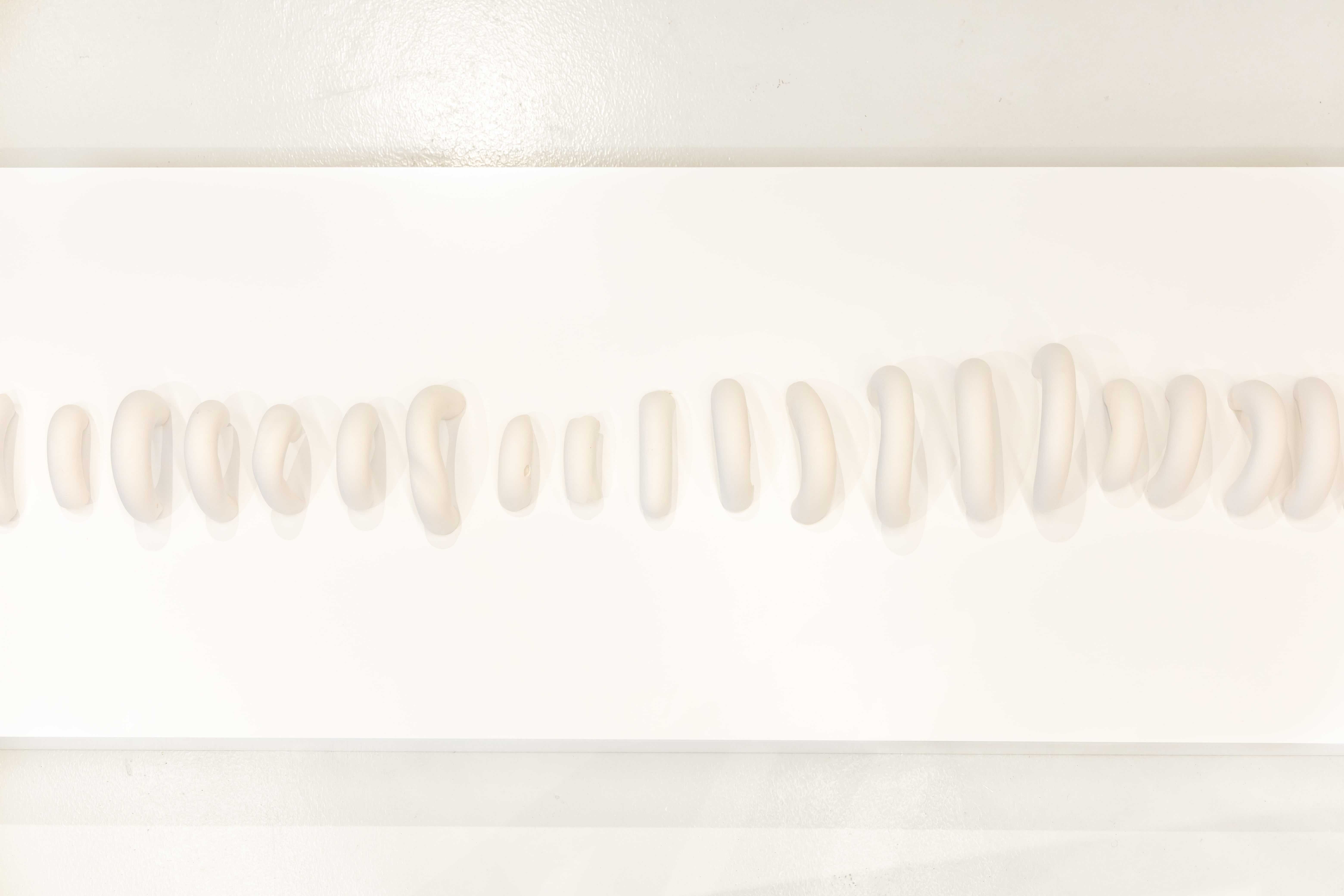 Collection of Bones: A Spine (2021)