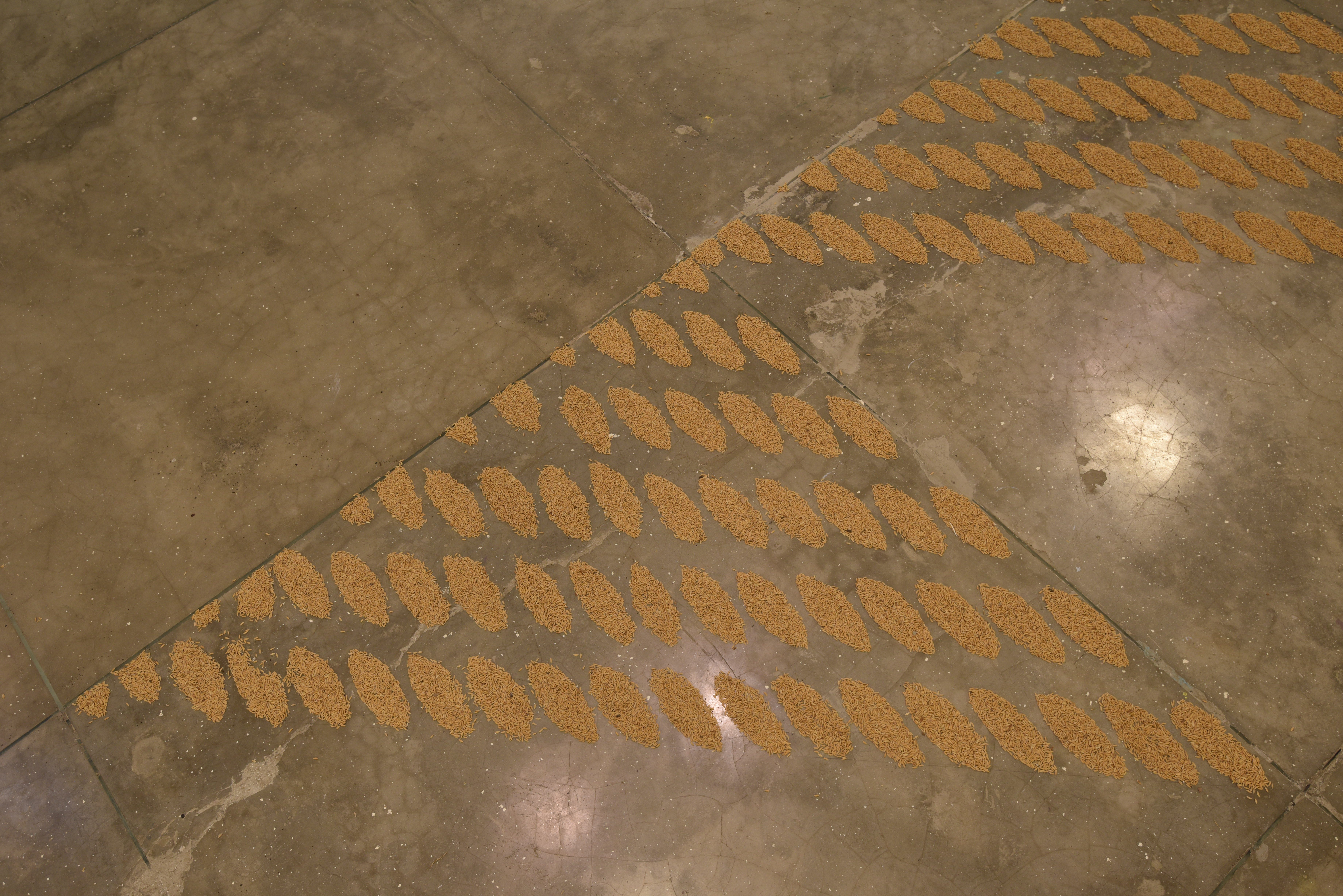 Navjot Altaf, Pattern (2015-2016). Unmilled rice grains, Dimensions variable. Image Copyright & Courtesy: Chemould Prescott Road and the artist. Photo credit: Anil Rane.