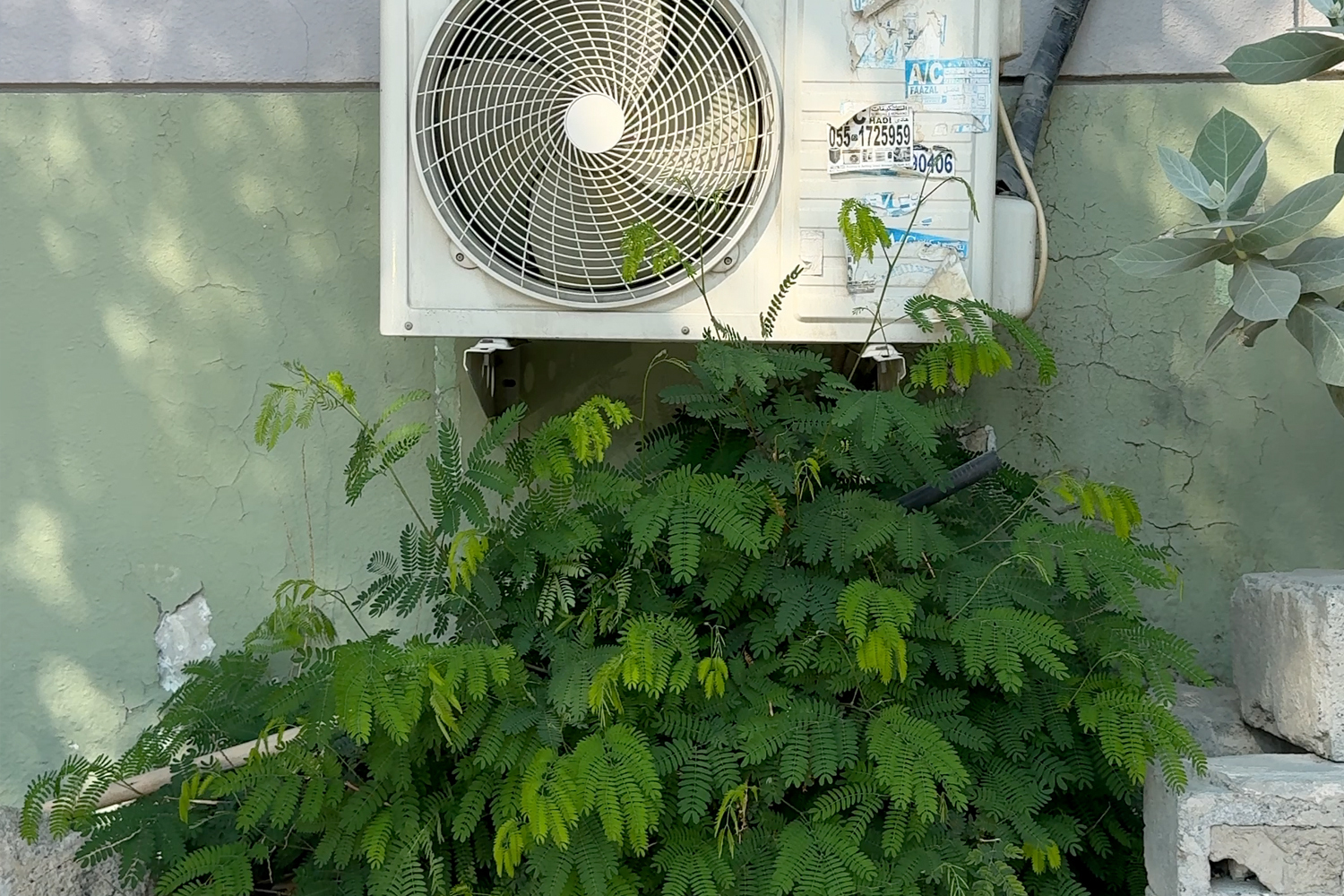 Global Co-commission: 2022 - 2024