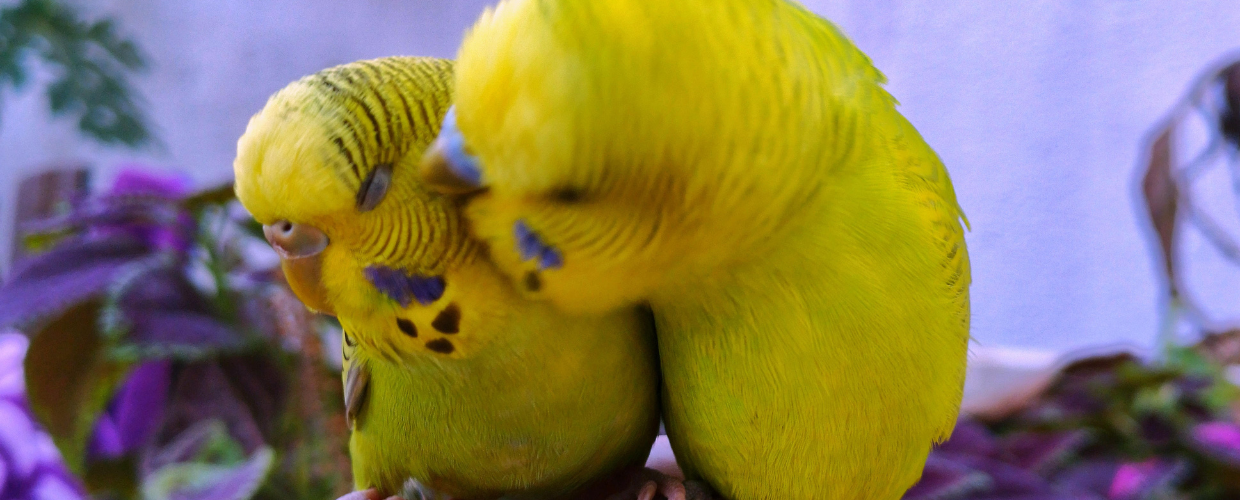 A Memorial in Fragments