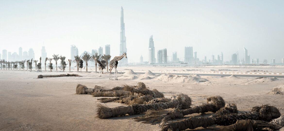 Abandoned: When a Crisis Allows Nature Back In