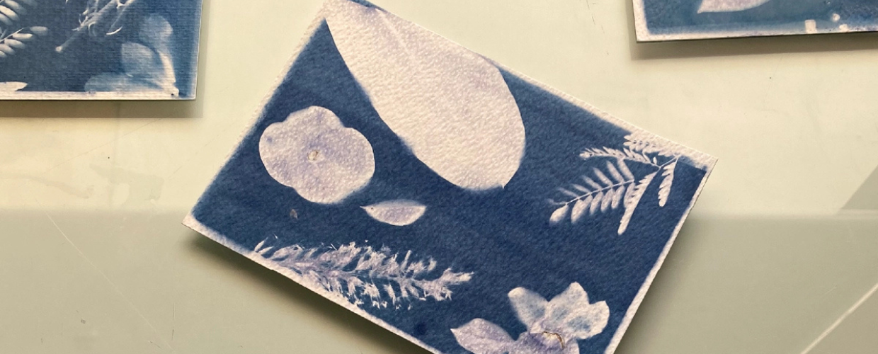 Cyanotype with Mohammed Abdelwahab