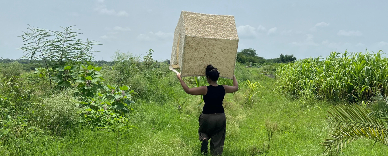 Antevasin—The One Who Sits At The Border Of Two Worlds