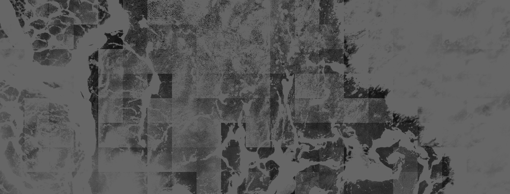 An Introductory Curriculum for Reparations