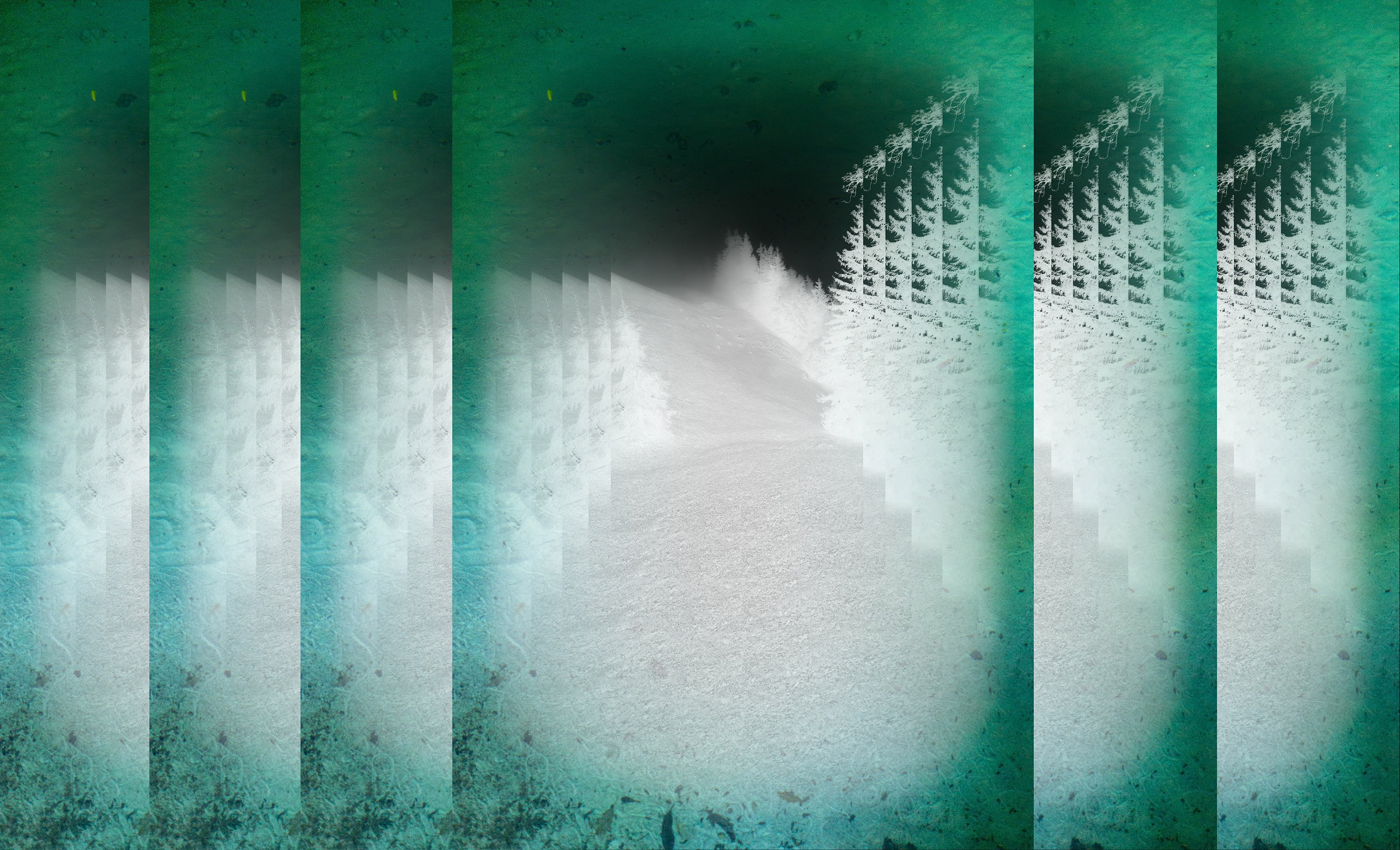 Echo Holdings x Anthropophagy