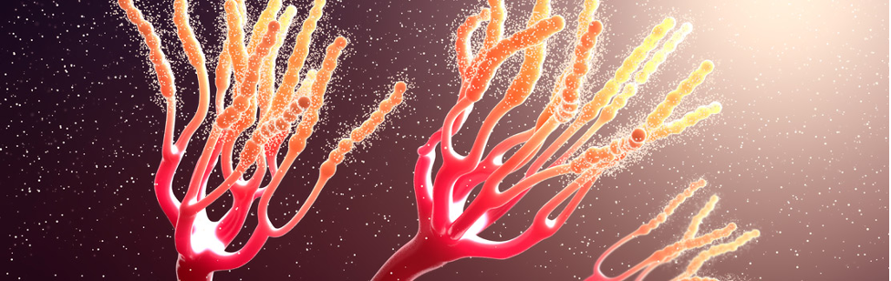 Secret underground networks