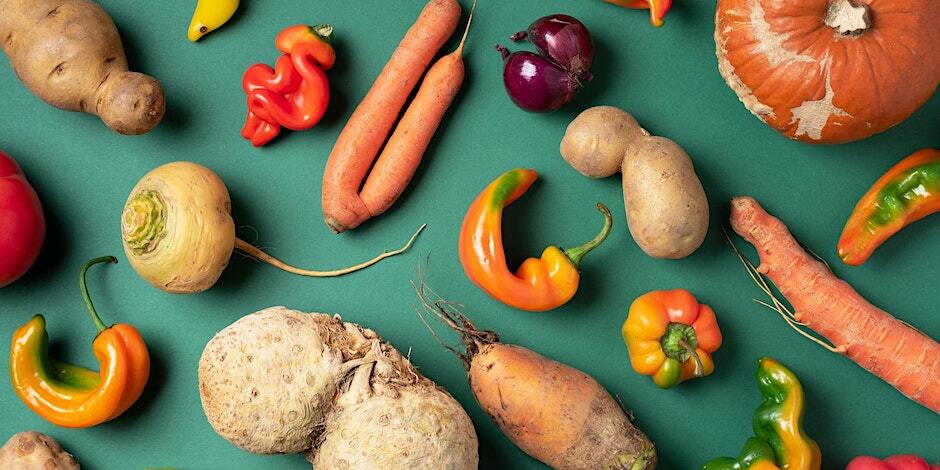 From Waste to Worth: A Talk by Daniel Solomon