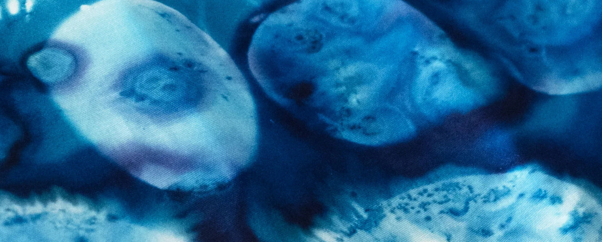 The Culinary Cyanotype