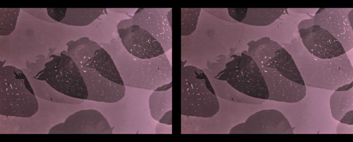 Anthology for Fruits and Vegetables (2019)