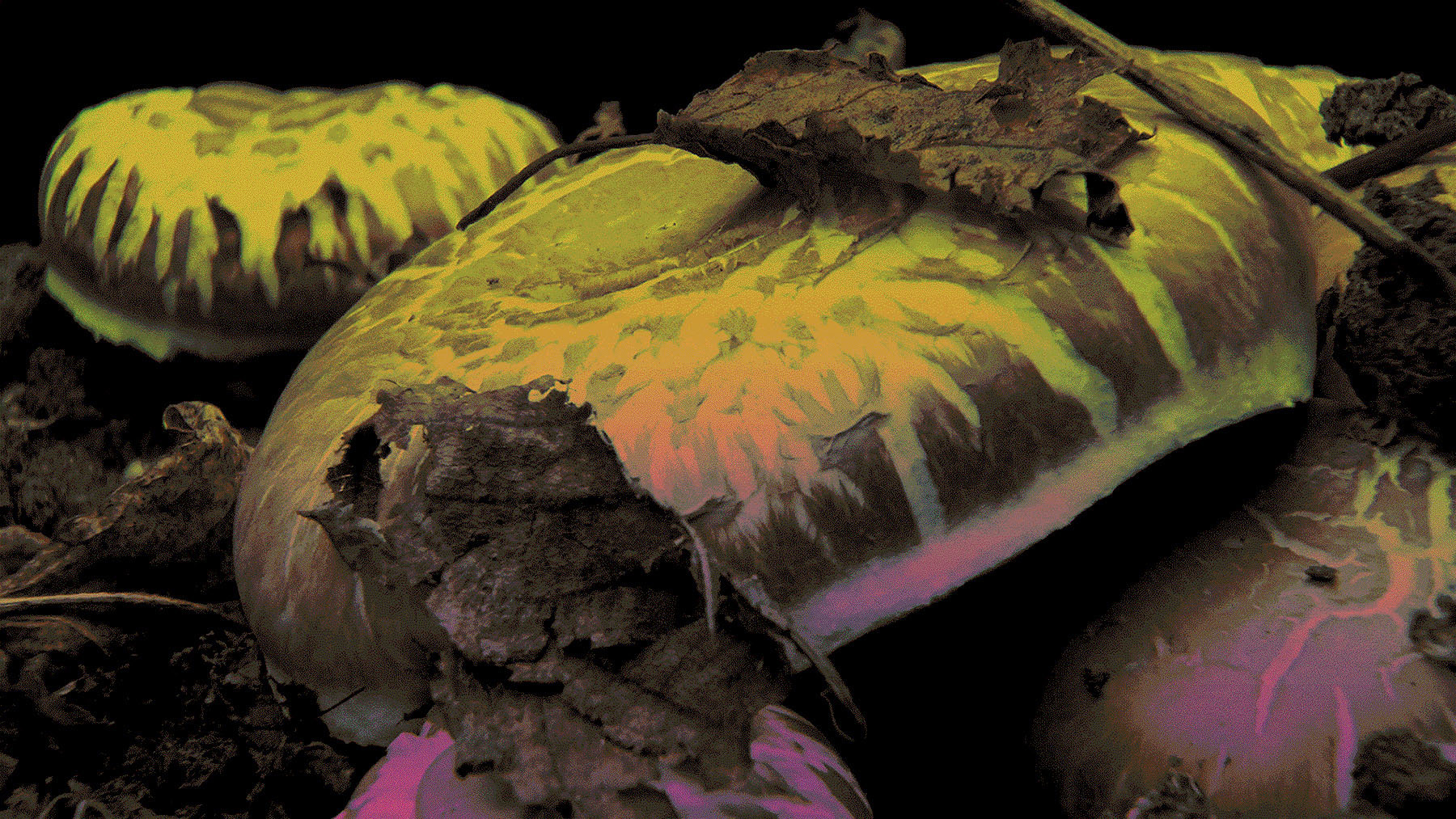 Cultures in Conversation | Climate change in the classroom, living room, street and beyond