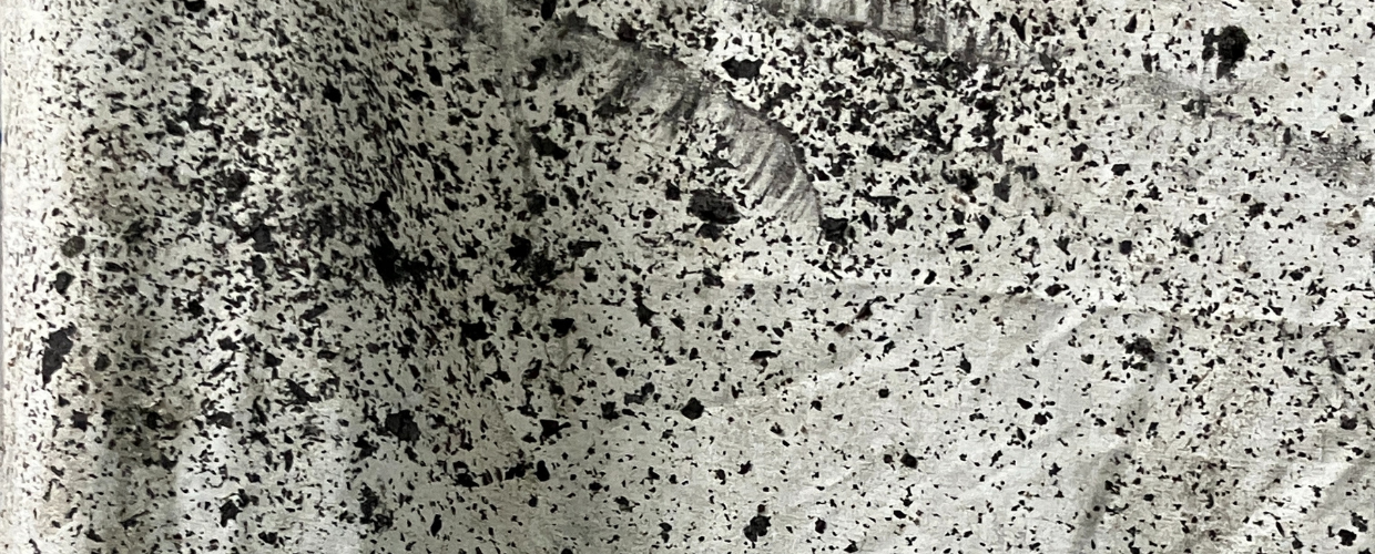 Five Consecutive Dreams, Five Suns, And A Garden By Charbel - Joseph H . Boutros