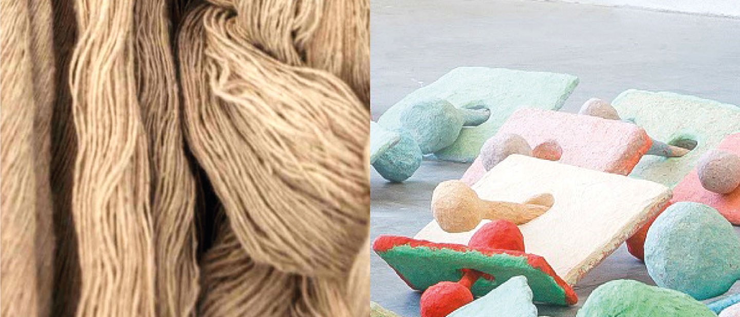 Hair Mapping Body; Body Mapping Land