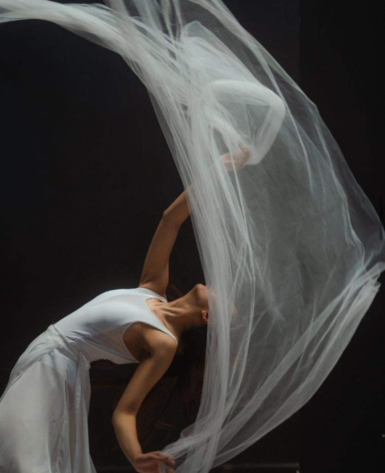 Elements in Motion | Rei Co