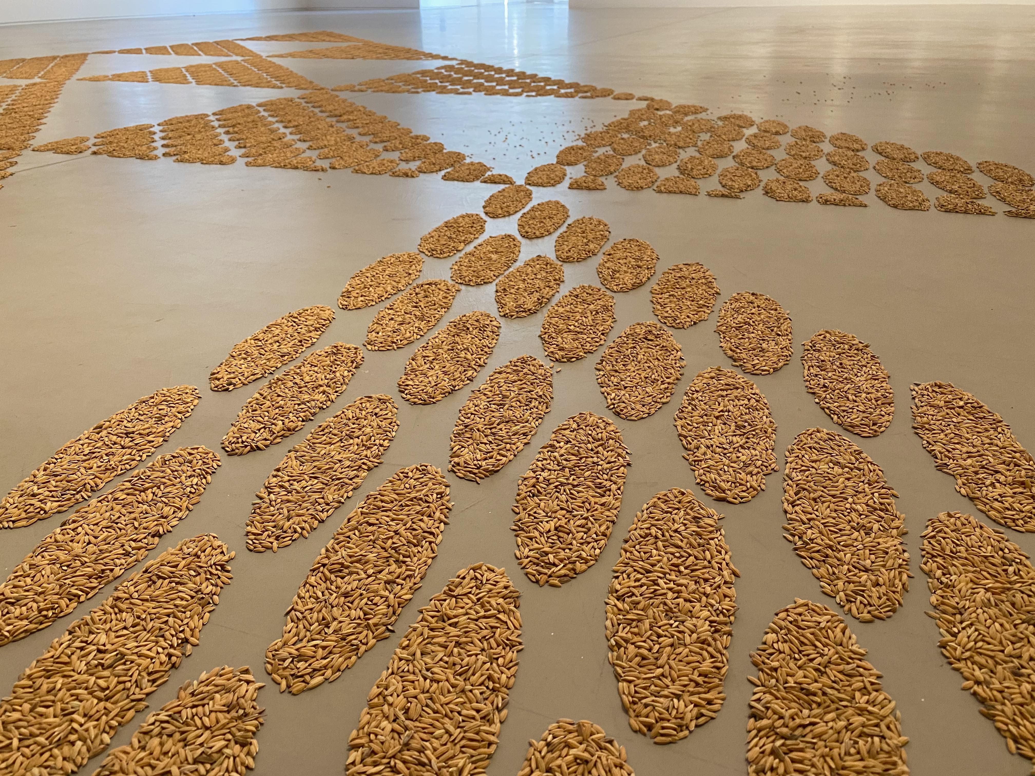 Ishara Art Foundation, Navjot Altaf, Pattern