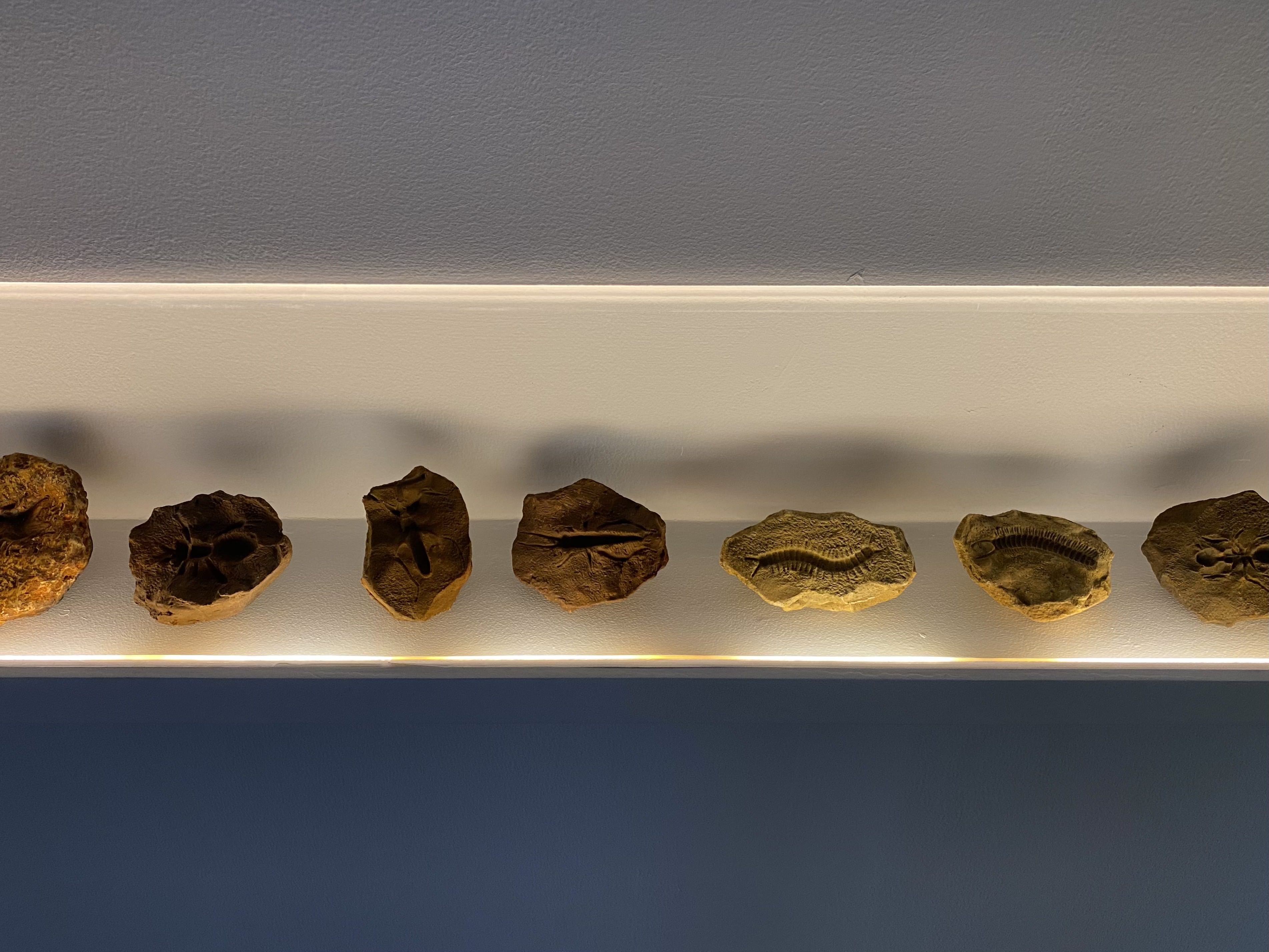 Ishara Art Foundation, Navjot Altaf, Pattern