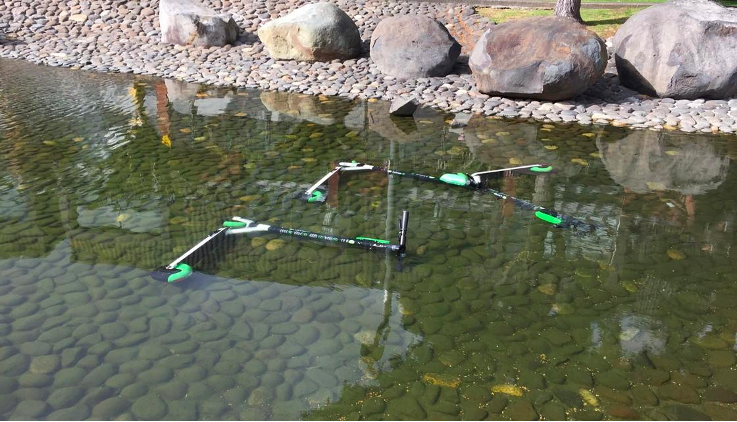 Lime scooters dumped in a pond in downtown Auckland, New Zealand. Photo by Lori Haggarty.