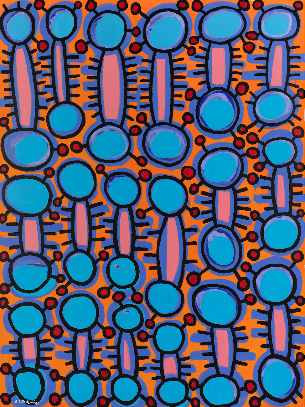 Embryonic Coat