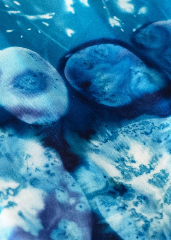 The Culinary Cyanotype