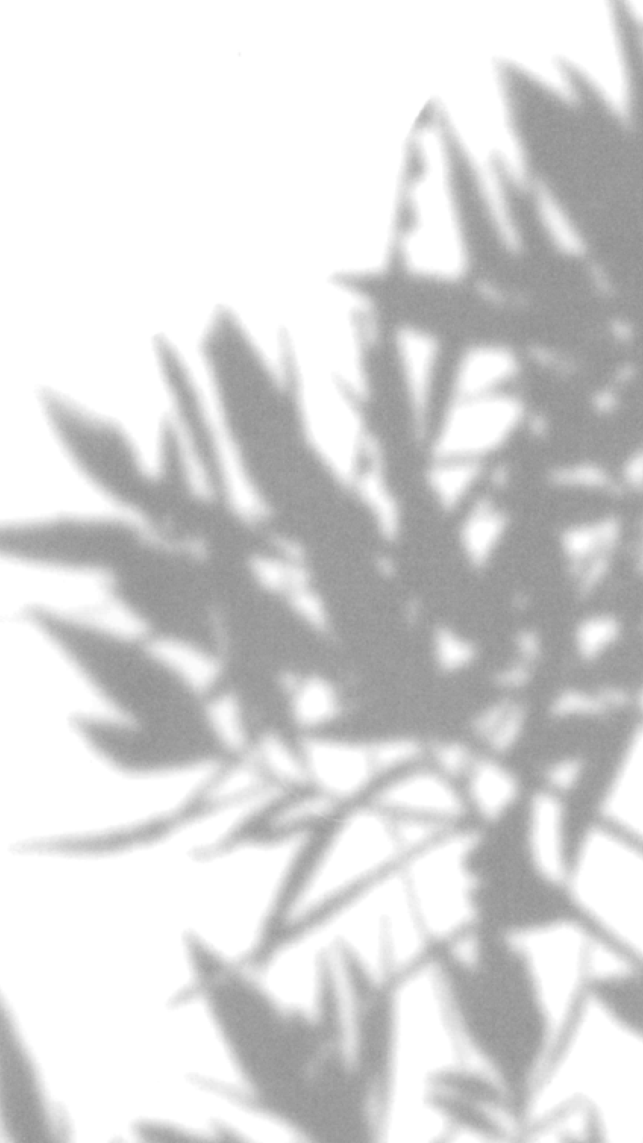 Alserkal Art Week - November