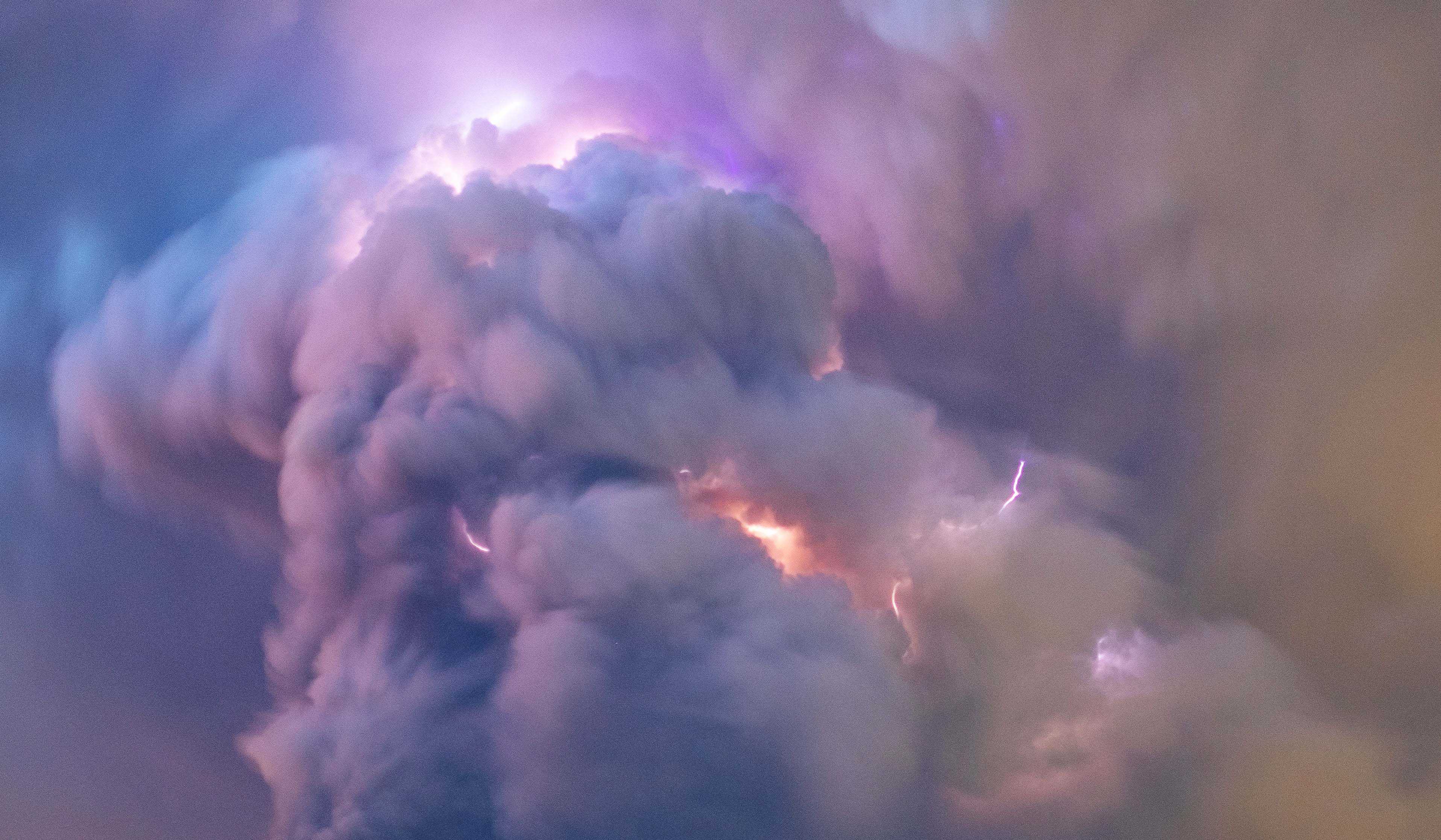 The Overseas Filipino Artist