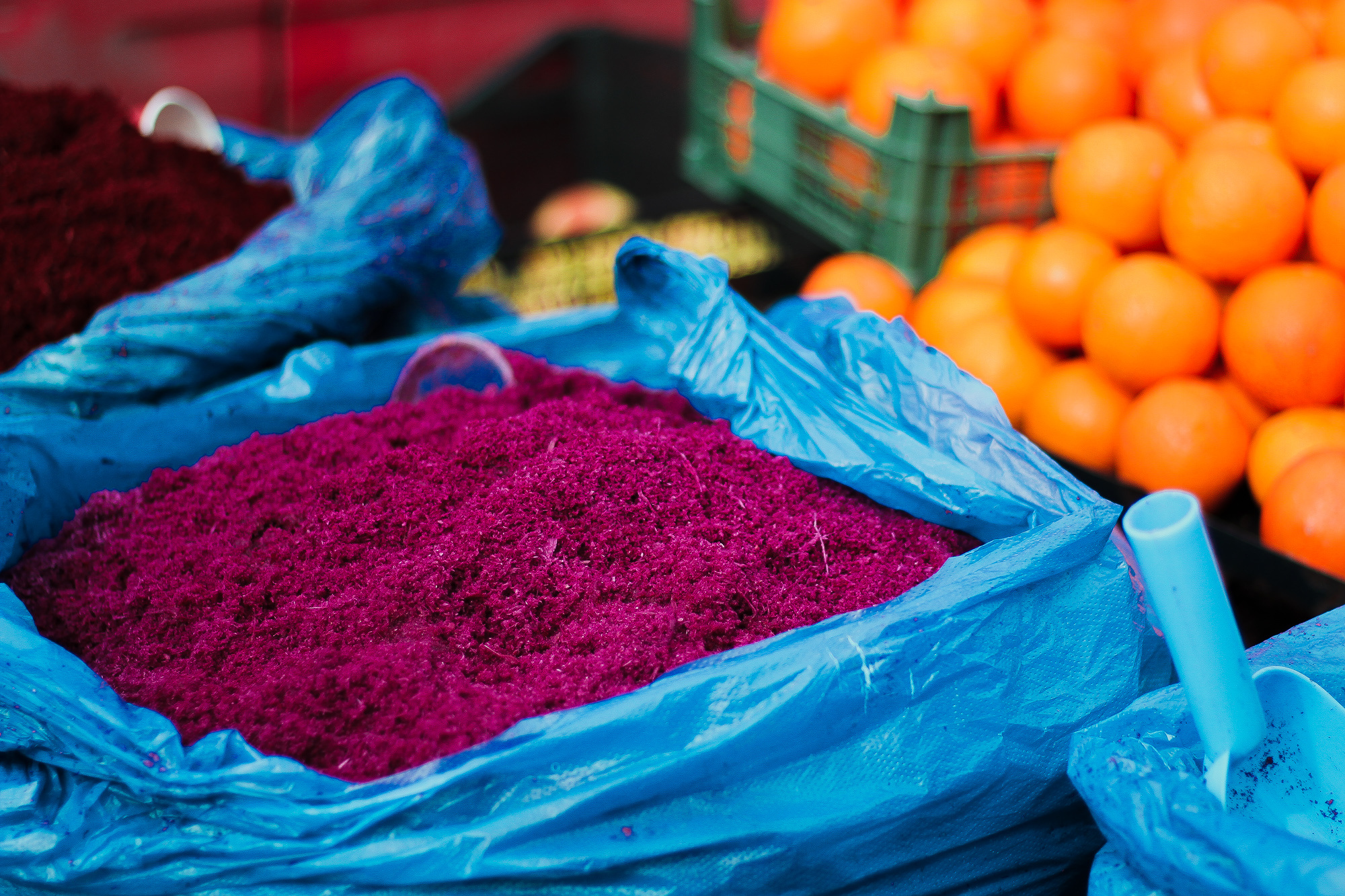 Rewilding the Kitchen with Nahla Tabbaa | Sharjah Biennial Excursion