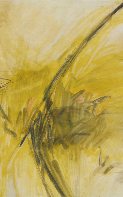 Brushstrokes & Perspectives