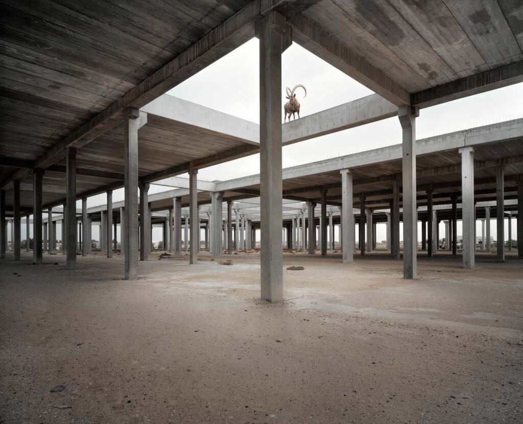 Photo Essay by Richard Allenby-Pratt