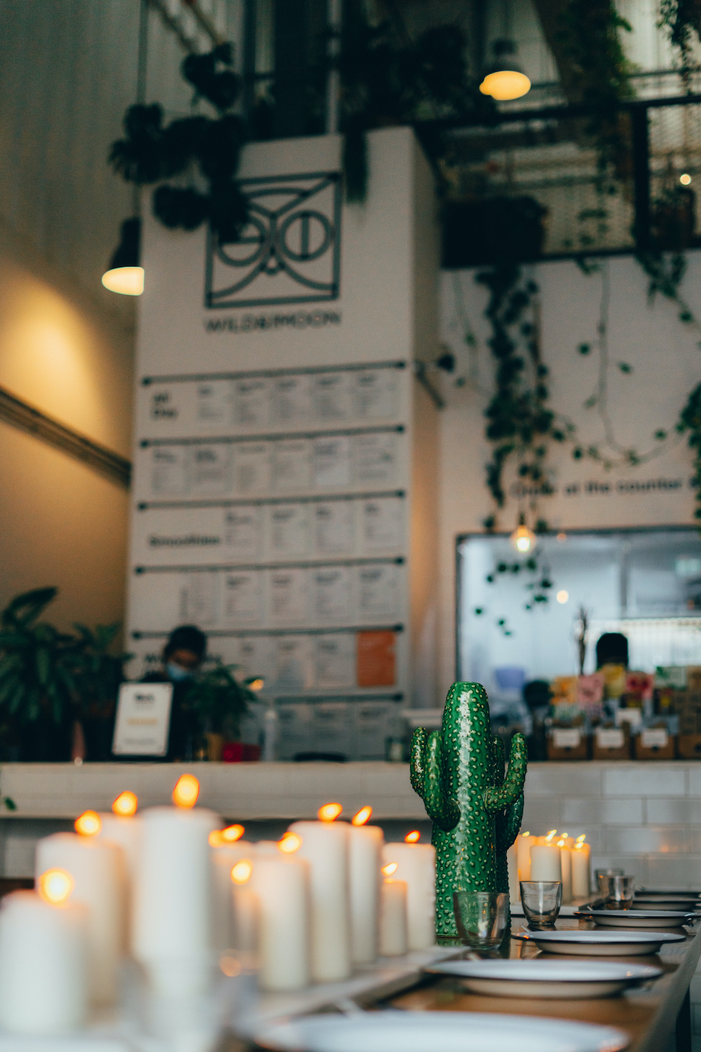 A glimpse into the Wild Supper Club!