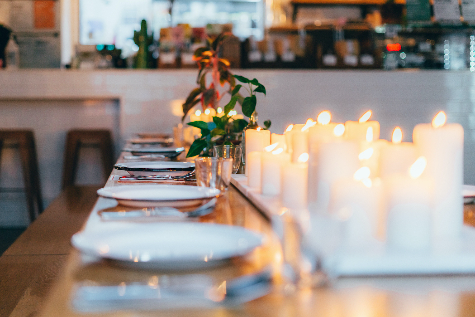 Wild Supper Club - Love Edition