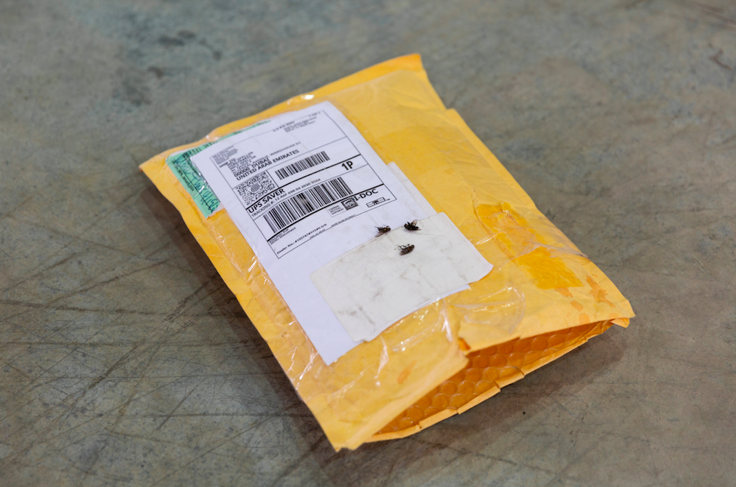 Wilf Speller & Nilz Källgren