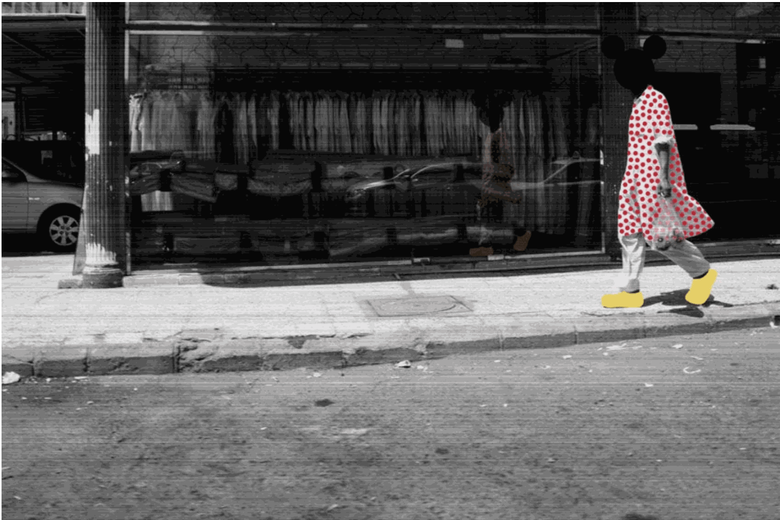 Summer Collective - Lens & Light: Moments in Focus