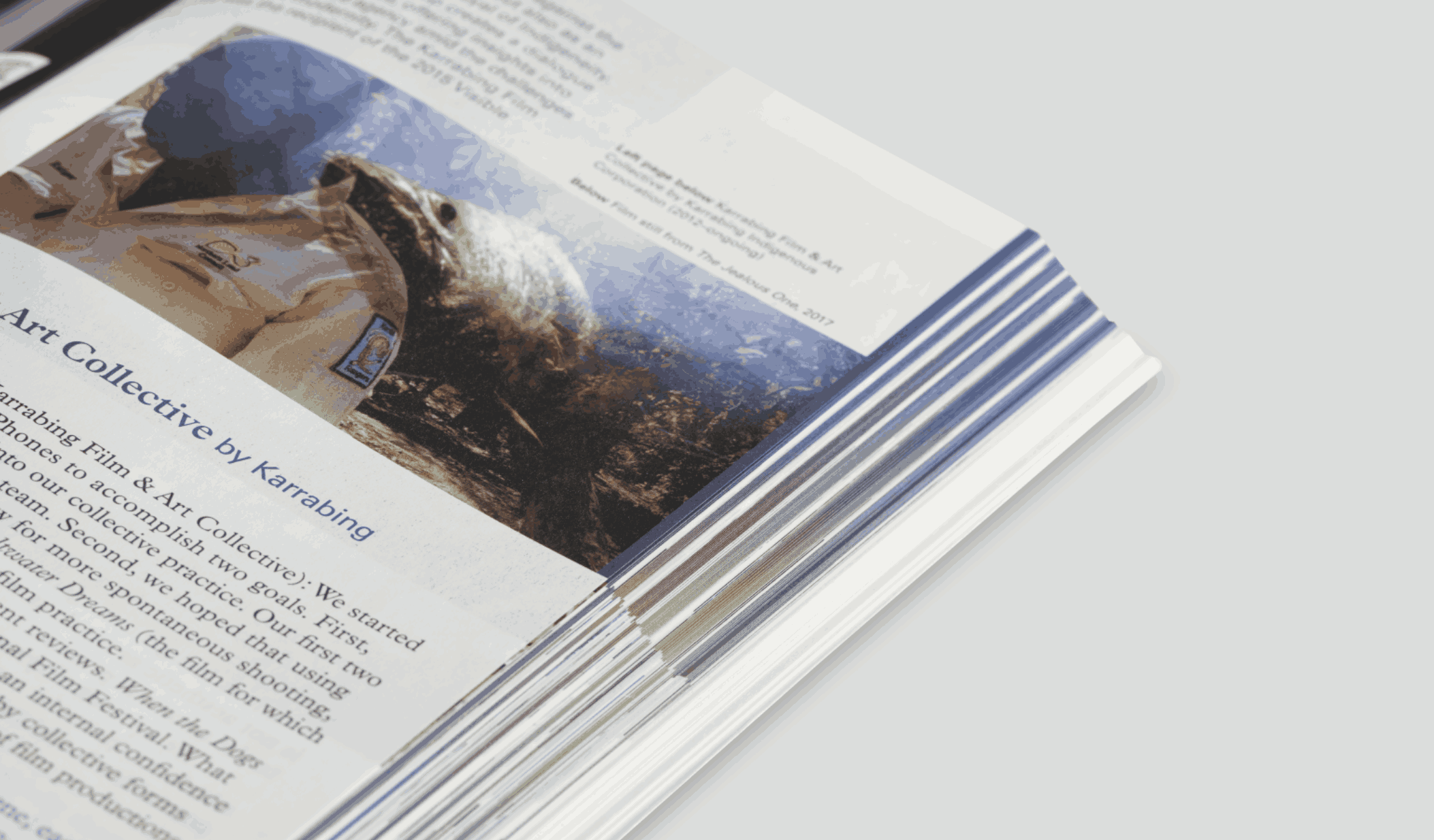 Book Launch: Visible