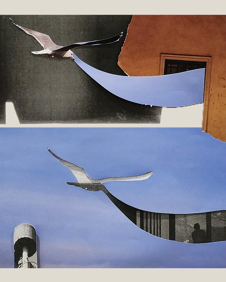 Spring 2023 Residency Public Programmes | Shada Safadi and Jalila Haider