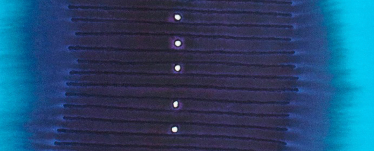 Solo Exhibition by Sohan Qadri