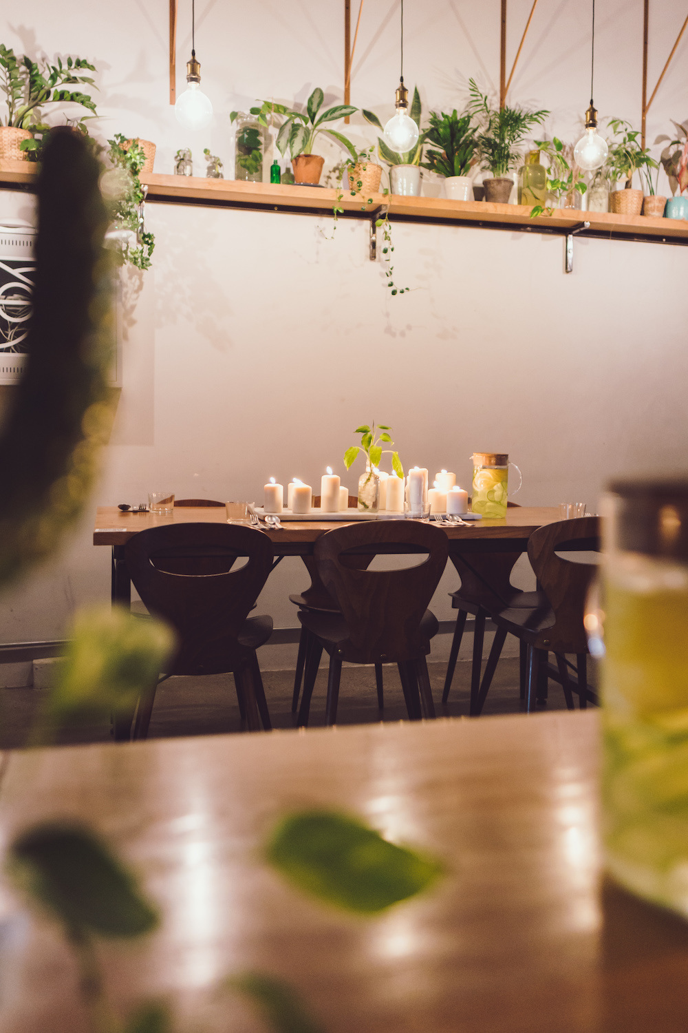 A glimpse into the Wild Supper Club.