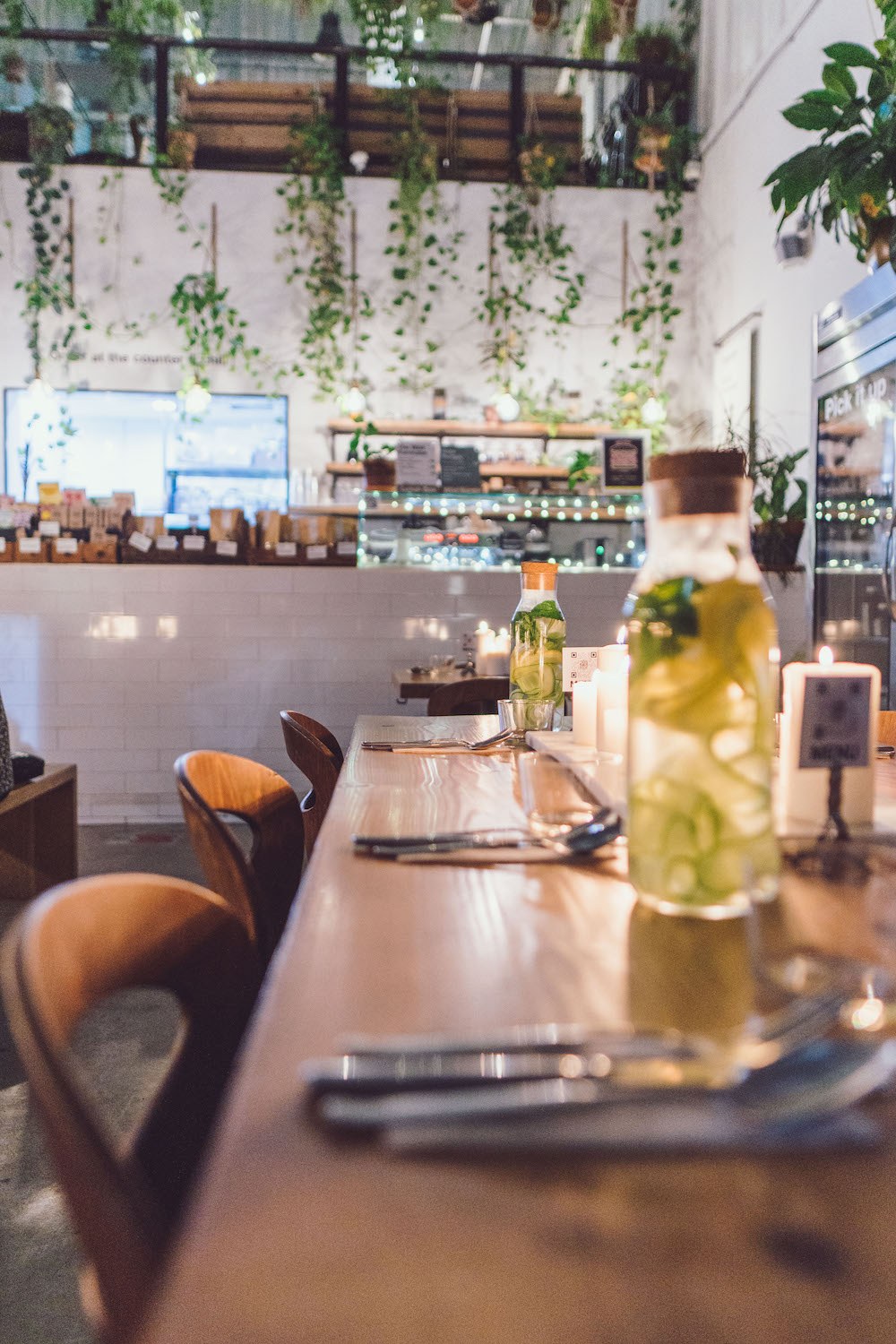 A glimpse into the Wild Supper Club!