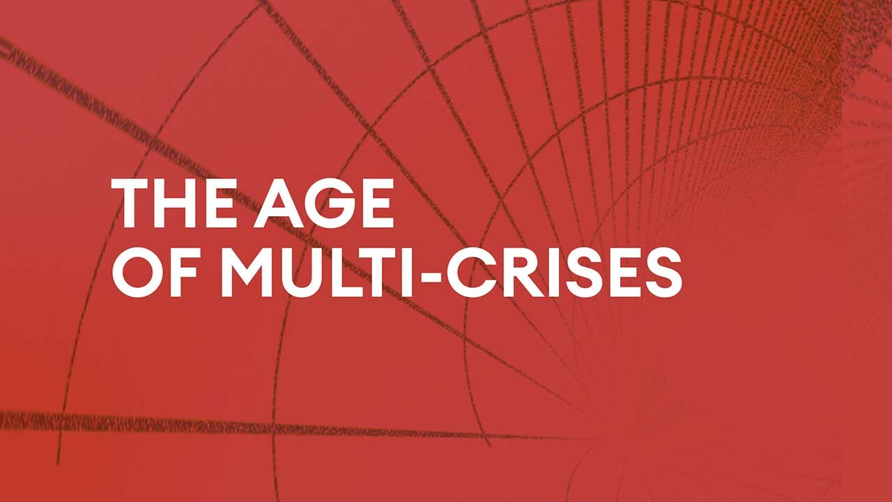 The Age of Multi-Crises
