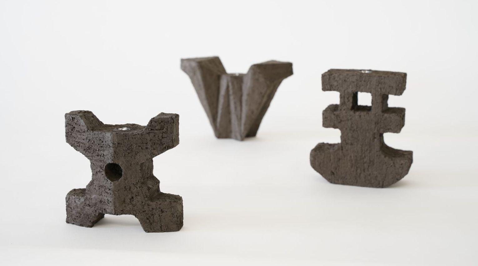 All Borrow Their Light