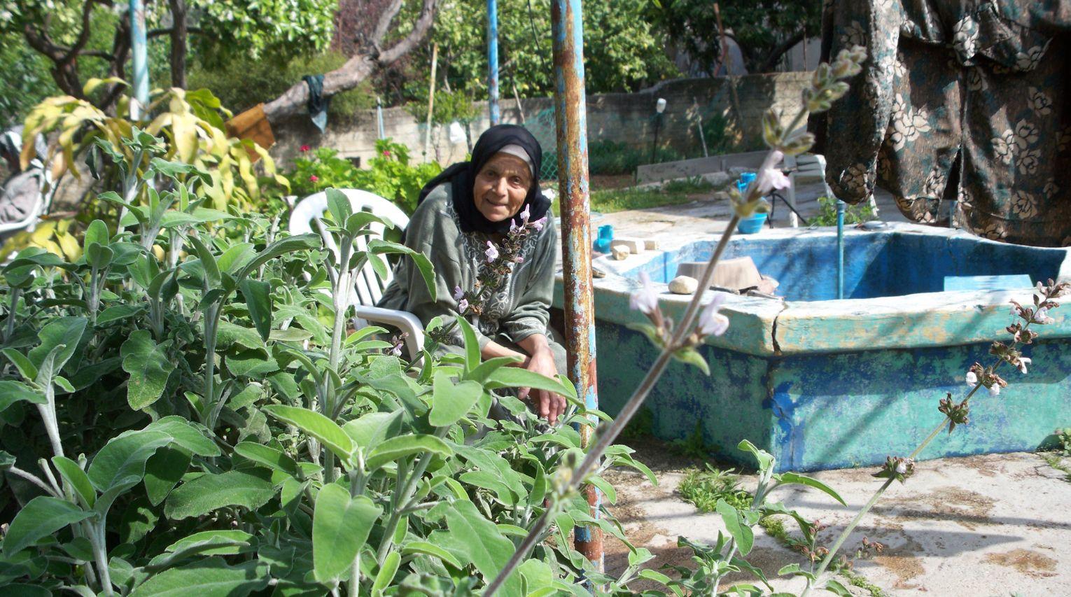 Grandmother's Shoes - Listening Party