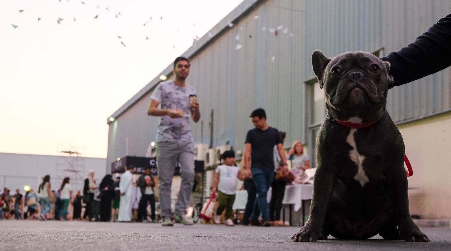 KAVE’S Saturday Woof Brunch