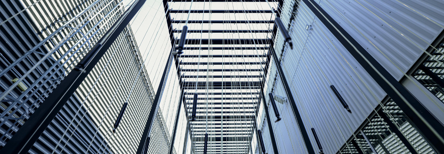 A Feral Commons Talk