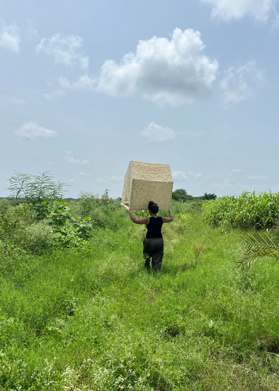 Antevasin—The One Who Sits At The Border Of Two Worlds